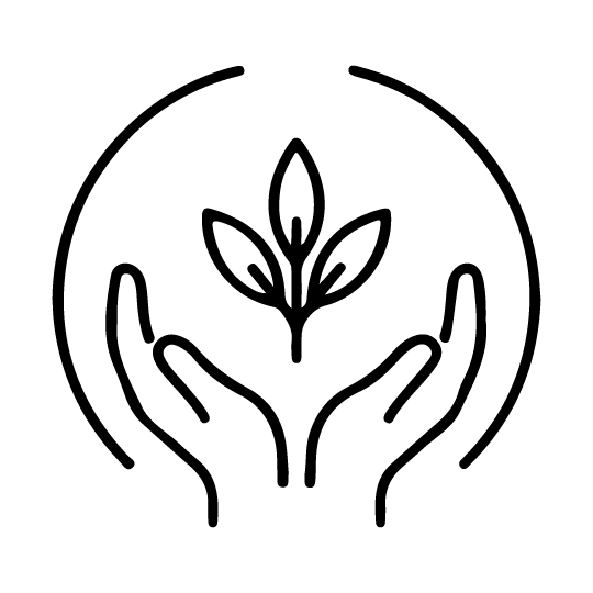 Sanación