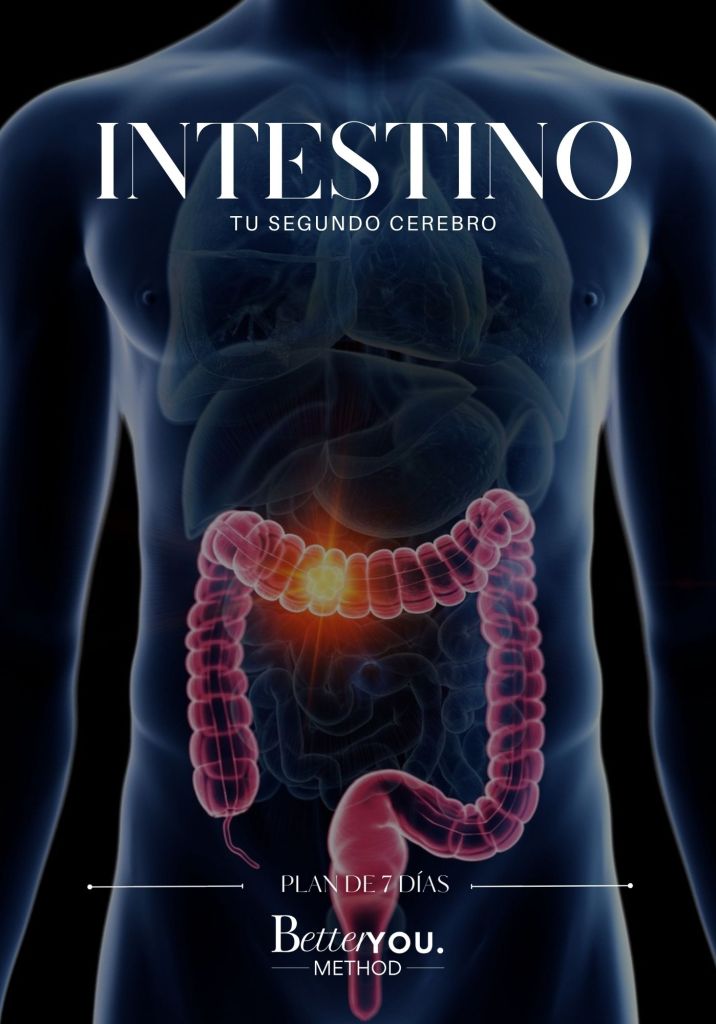Torso humano con representación de órganos internos destacando el intestino, simbolizando la conexión entre sistema digestivo y bienestar integral